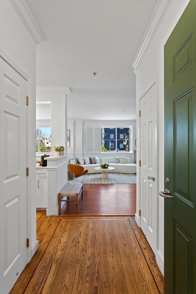 corridor featuring wood-type flooring and crown molding