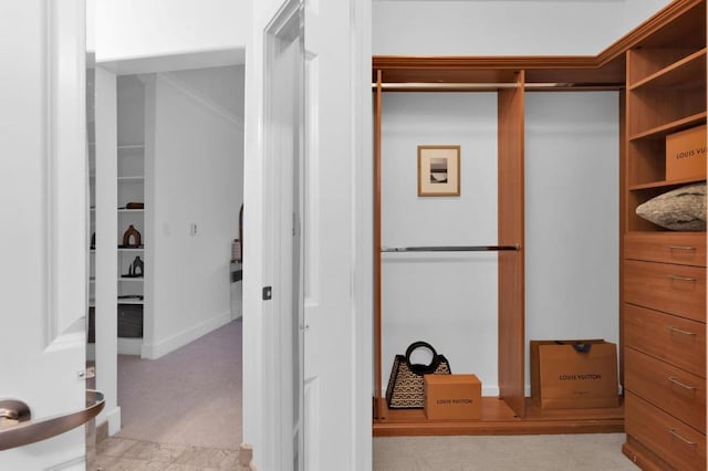 spacious closet featuring light carpet