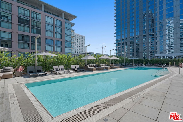 view of swimming pool featuring a patio area