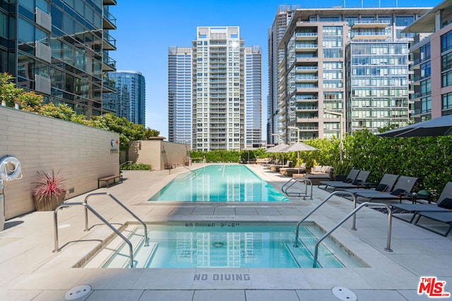 view of swimming pool with a patio area