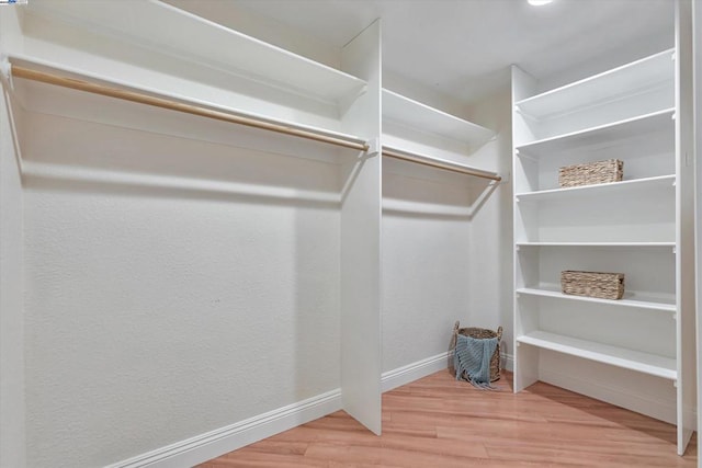 walk in closet with wood-type flooring