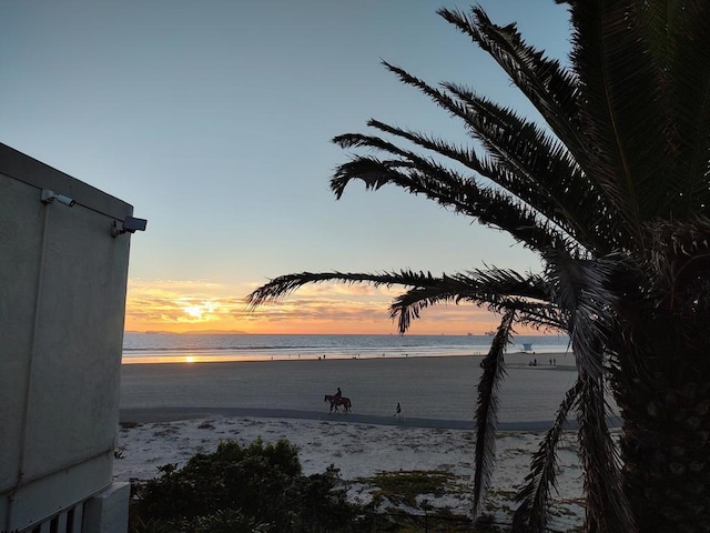 property view of water with a beach view