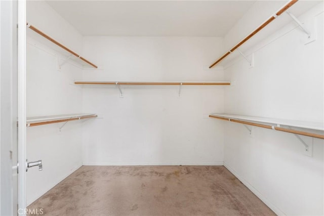 walk in closet with light colored carpet