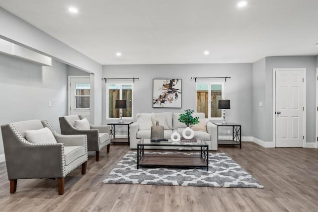 living room with wood-type flooring