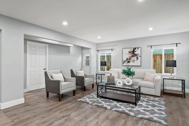 living room featuring hardwood / wood-style flooring