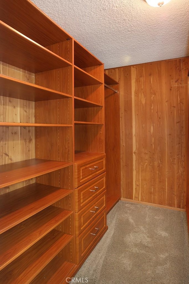6405 Green Valley Cir Unit 209, Culver City, CA 90230 - walk in closet featuring carpet flooring