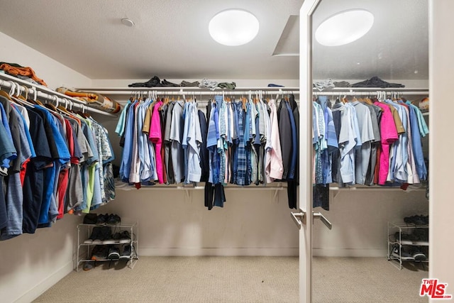 walk in closet featuring carpet floors