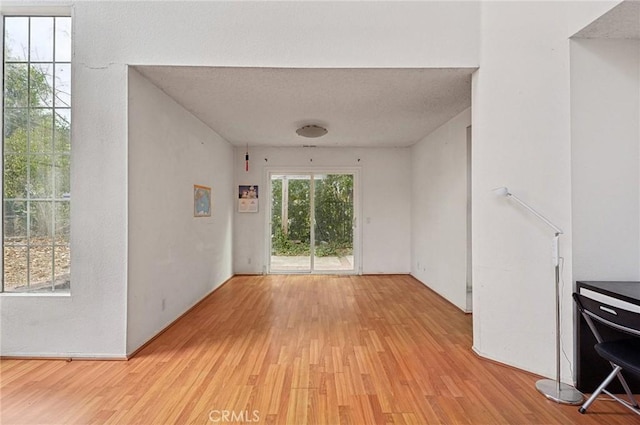 unfurnished living room with light hardwood / wood-style flooring