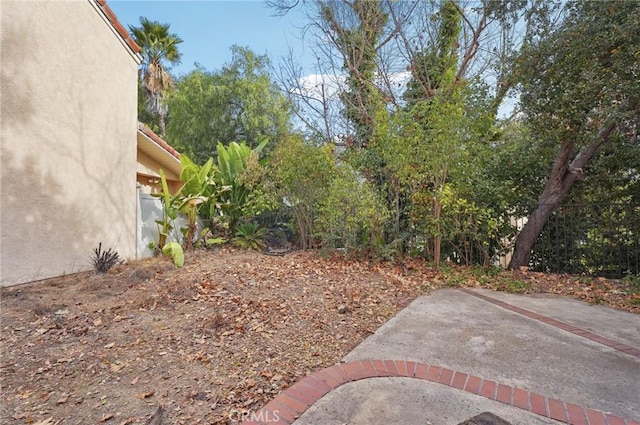 view of yard featuring a patio