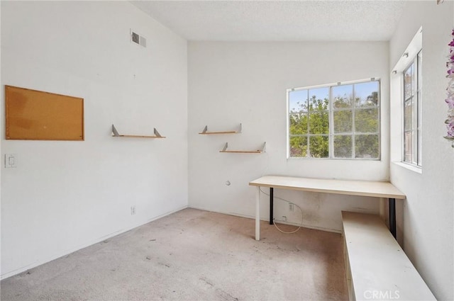 interior space featuring carpet flooring and a textured ceiling