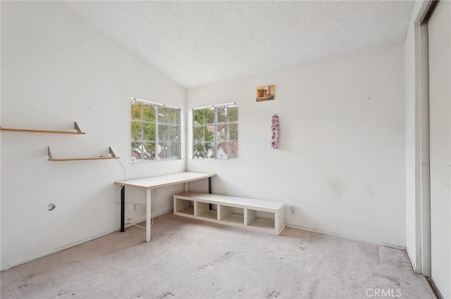 miscellaneous room featuring lofted ceiling, light carpet, and a textured ceiling