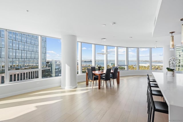 dining room featuring light hardwood / wood-style floors