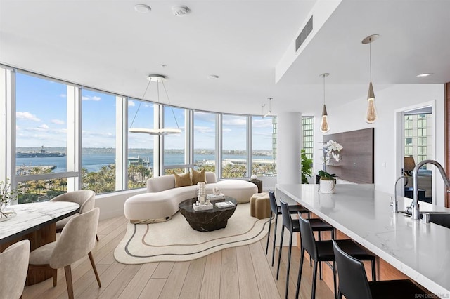 interior space with a water view, light hardwood / wood-style floors, and sink