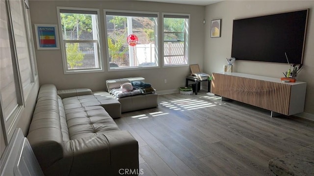 living room featuring radiator heating unit and light wood-type flooring