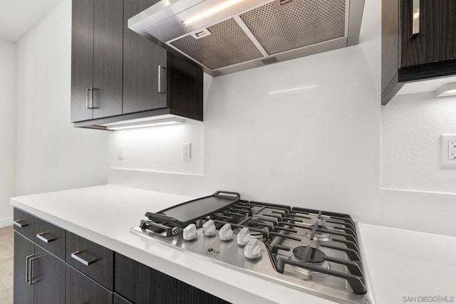 kitchen featuring ventilation hood and stainless steel gas cooktop