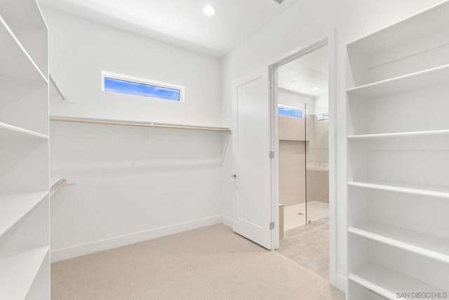 spacious closet with light carpet