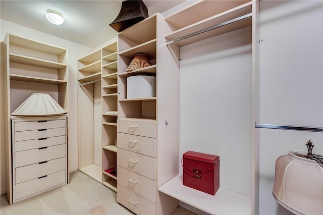 spacious closet featuring light carpet