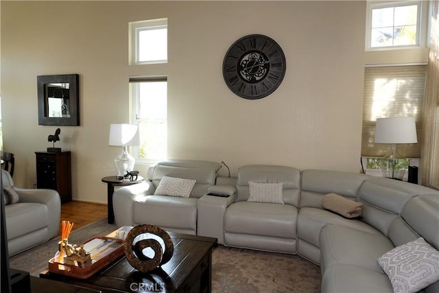 living room featuring hardwood / wood-style floors