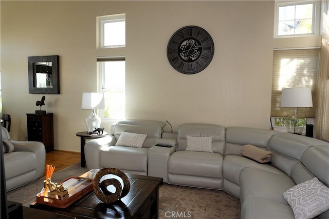 33 Corte Palazzo, Lake Elsinore, CA 92532 - living room featuring healthy amount of natural light and wood finished floors