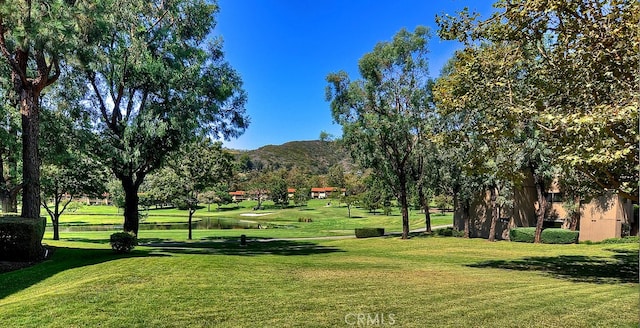 view of community with a mountain view and a lawn