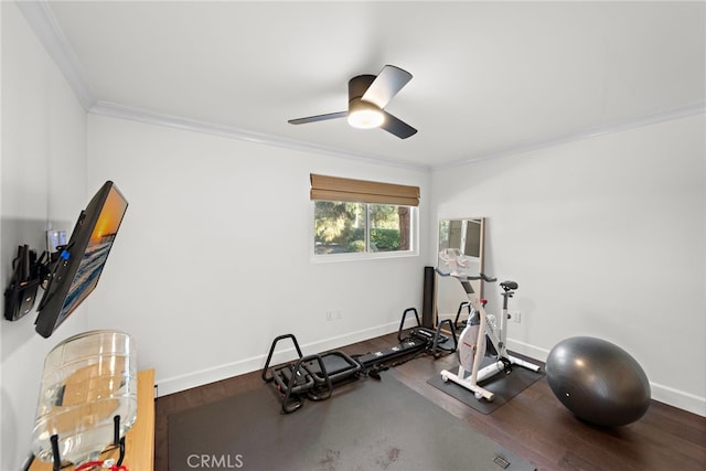 workout area featuring ceiling fan and ornamental molding