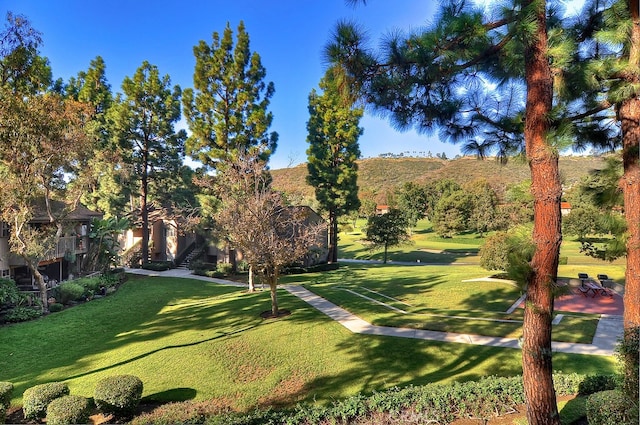 view of property's community with a yard