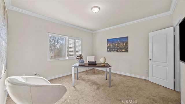 office space featuring light colored carpet and crown molding