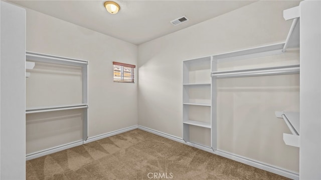 spacious closet with carpet floors