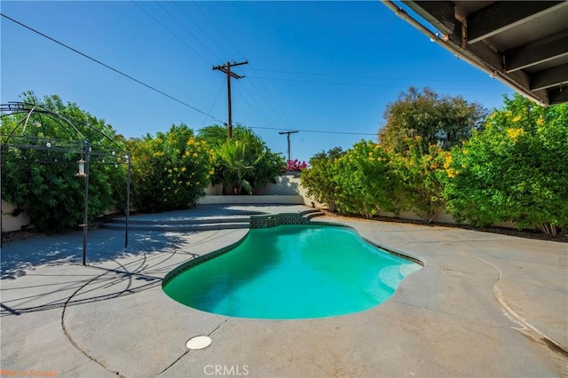 view of pool with a patio