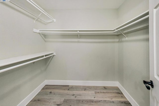 walk in closet featuring hardwood / wood-style floors