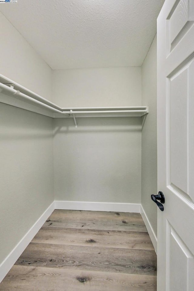 walk in closet with hardwood / wood-style floors