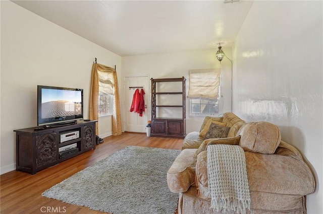 living room featuring hardwood / wood-style floors