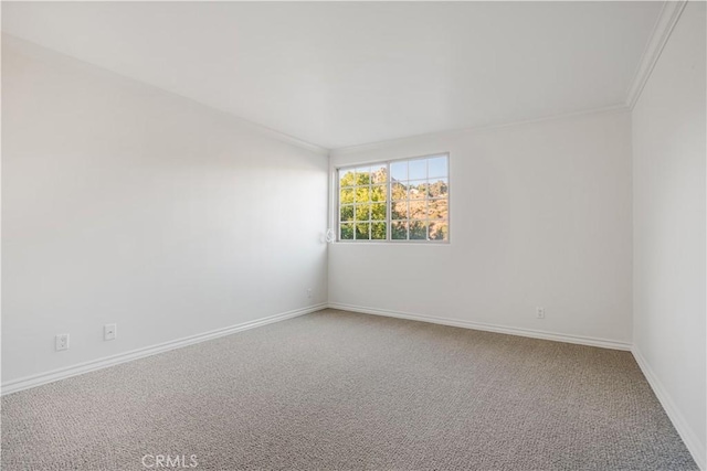 unfurnished room featuring crown molding and carpet floors