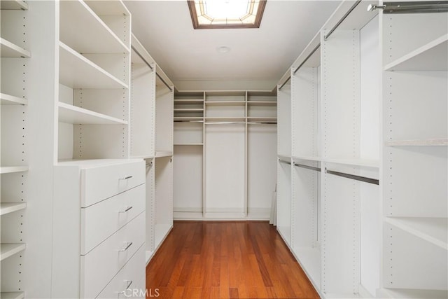 spacious closet featuring wood-type flooring