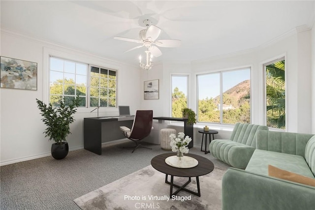 home office featuring ornamental molding, ceiling fan, and carpet