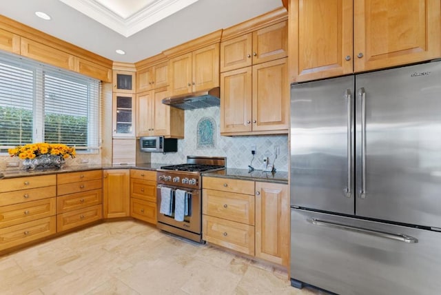 kitchen with crown molding, premium appliances, a tray ceiling, decorative backsplash, and dark stone counters