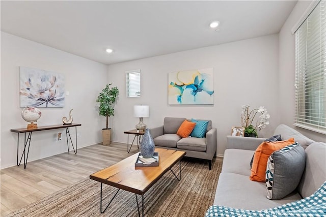 living room with light wood-type flooring