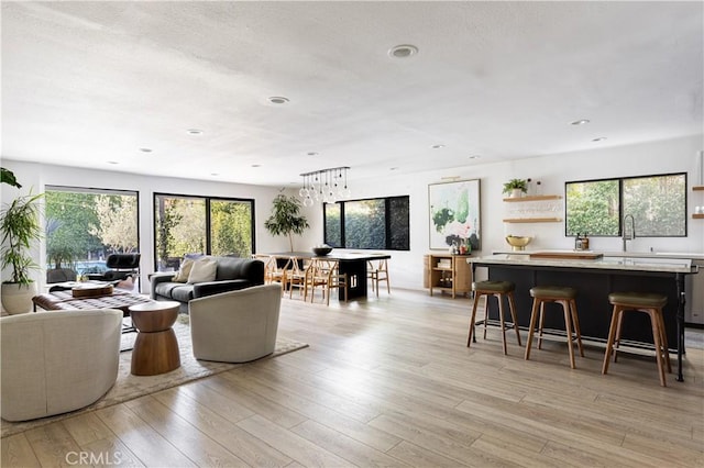 living room featuring light hardwood / wood-style floors and sink