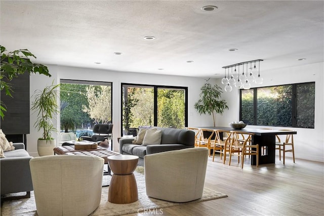 living room with hardwood / wood-style flooring