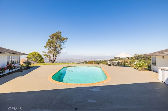 view of swimming pool featuring a patio area