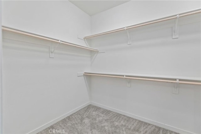 spacious closet with light carpet