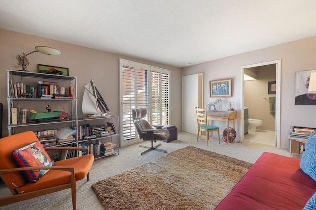 interior space with light colored carpet