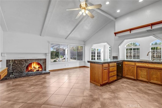 kitchen with a high end fireplace, a healthy amount of sunlight, kitchen peninsula, and sink