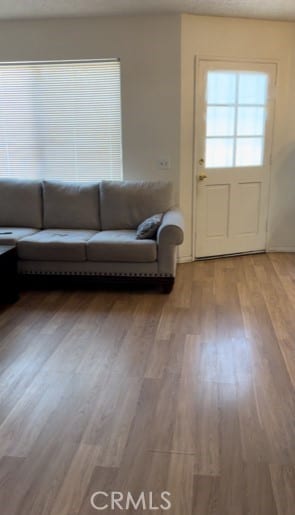 unfurnished living room featuring light wood-type flooring