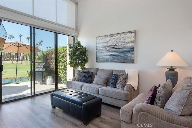 living room featuring a high ceiling and hardwood / wood-style floors