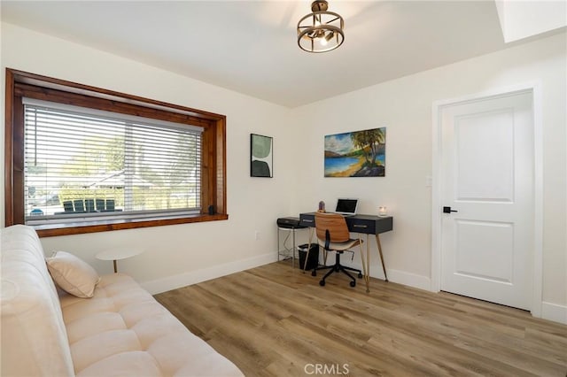 office featuring wood-type flooring