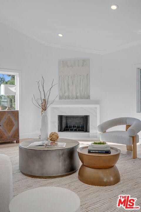 room details featuring ornamental molding and a fireplace