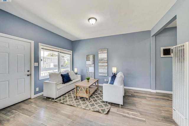 living room featuring hardwood / wood-style floors