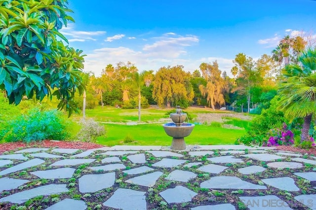 view of community featuring a lawn