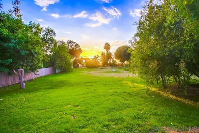 view of yard at dusk